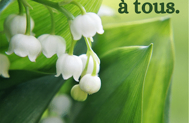 Bon 1er mai à tous